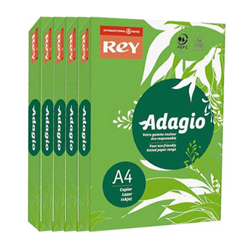 PAPIER REY ADAGIO VERT 80G A4